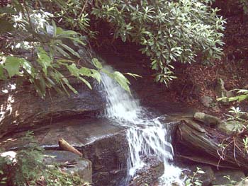 IMGP0117