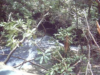 IMGP0122