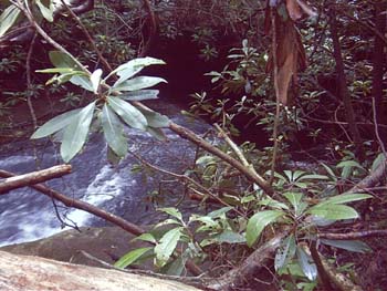 IMGP0125