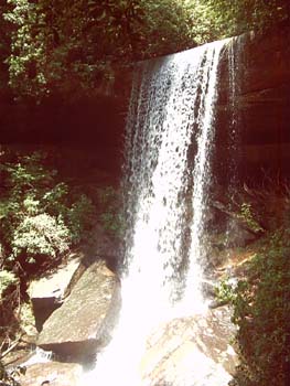 IMGP0127