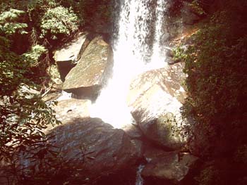IMGP0128