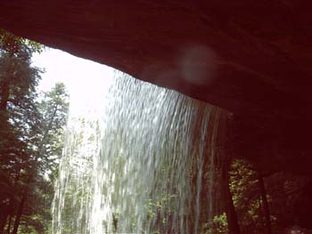 IMGP0130