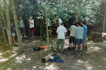 2 (13)
