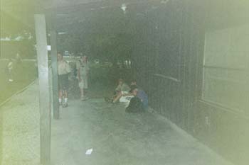 3 (16)