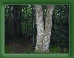 HPIM1477 * 2592 x 1952 * (2.27MB)