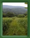 HPIM1482 * 1952 x 2592 * (1.84MB)