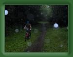 HPIM1487 * 2592 x 1952 * (1.32MB)