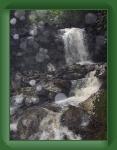 HPIM1529 * 1952 x 2592 * (1.92MB)